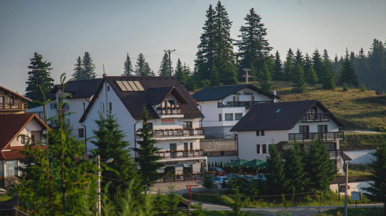 Pensiune Rara Păltiniş Esterno foto