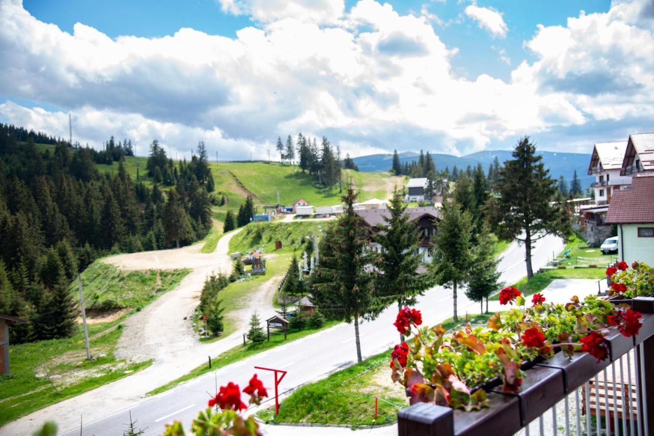 Pensiune Rara Păltiniş Esterno foto