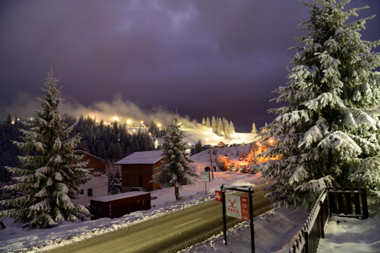 Pensiune Rara Păltiniş Esterno foto